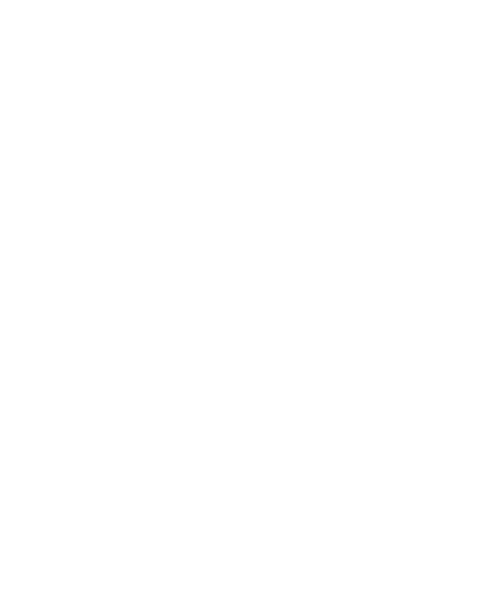 WeRunGrz logo